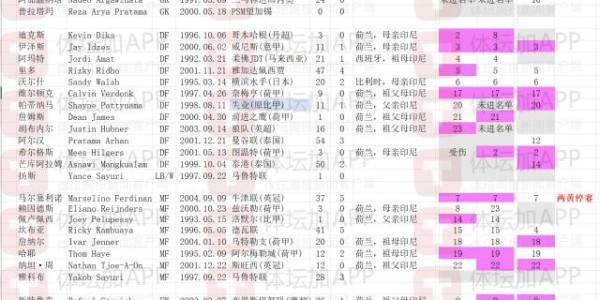 立博体育平台-印尼公布32人集训名单：19名归化球员未有最新归化